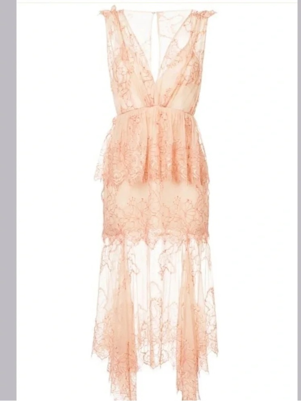 NWT Alice McCall Clementine Gown Size 8 Nude Scarlett Lace Dress Wedding Guest